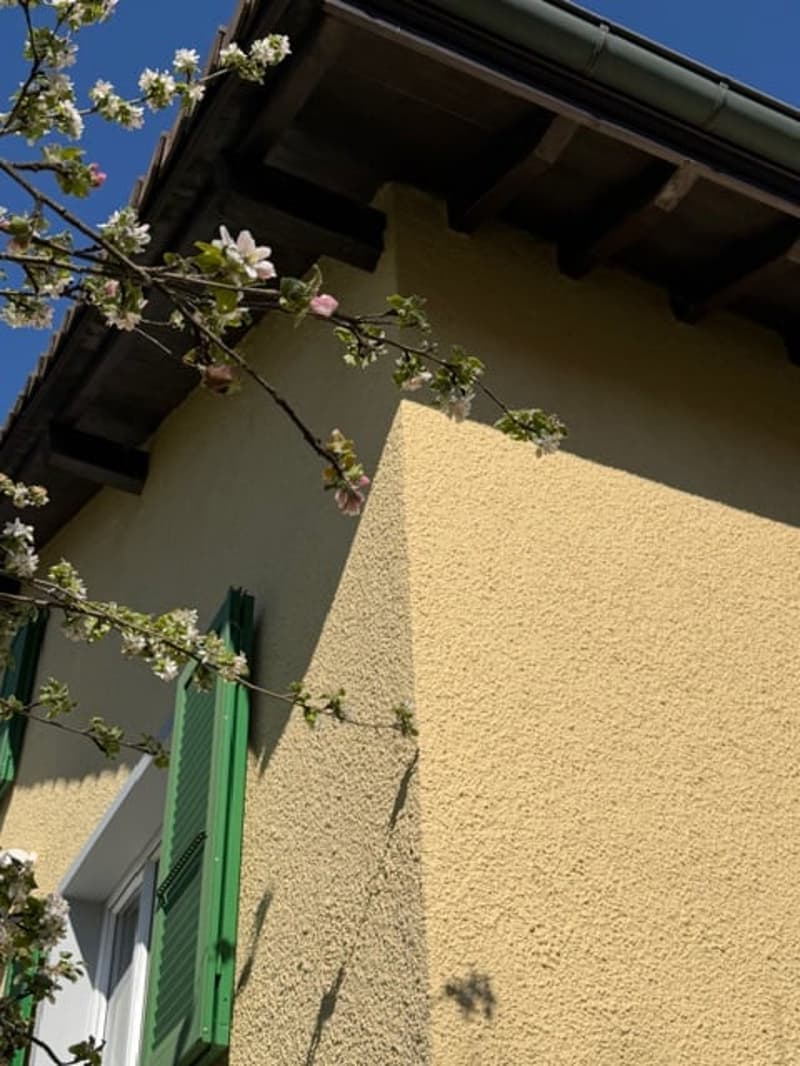 2114 Fleurier/NE Sale of a beautiful renovated 6-room villa with 3 garages (7)
