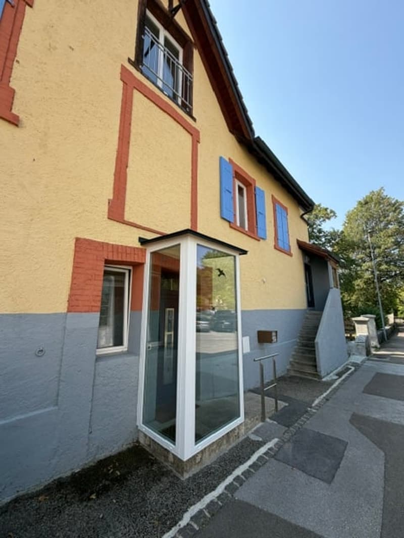 Vente d'une maison avec deux appartements rénovés jardin et dépendances (3)