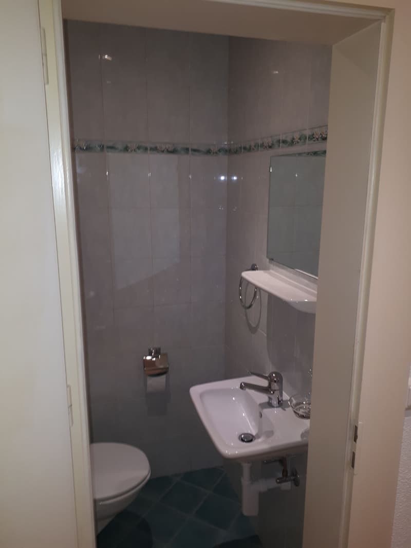 2525 Le Landeron/NE Vente d’un immeuble de 3 appartements et 1 bureau (6)