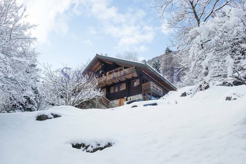 Val-d'Illiez, Pour les amoureux de la nature, superbe chalet en viager (1)