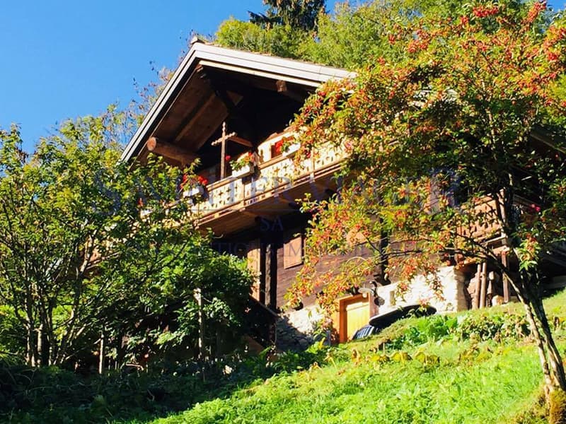 Val-d'Illiez, Pour les amoureux de la nature, superbe chalet en viager (3)