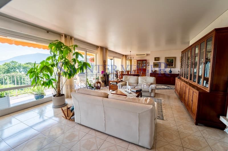 Villa sur les toits. Terrasse de 60m2. Vue lac 180. VIAGER. (4)