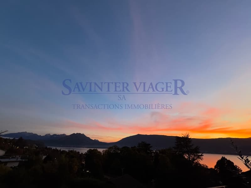 Villa sur les toits. Terrasse de 60m2. Vue lac 180. VIAGER. (13)