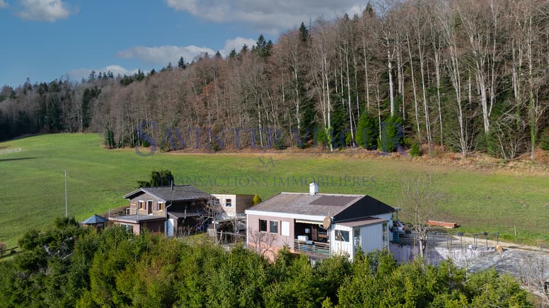 La maison "Les mésanges" en viager occupé (3)