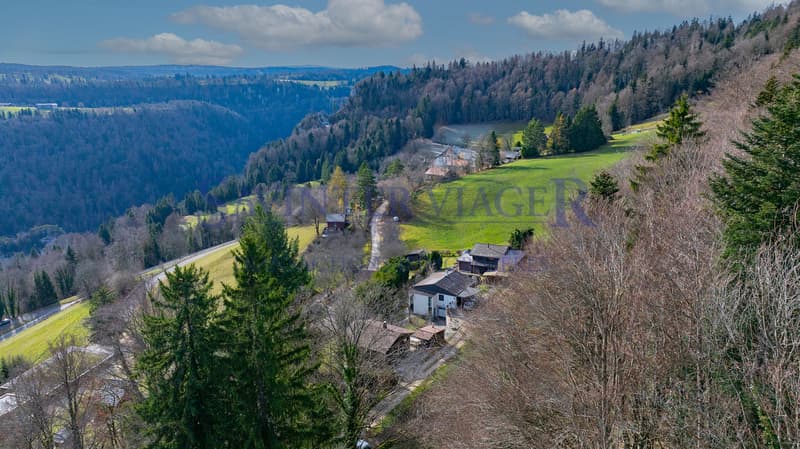 La maison "Les mésanges" en viager occupé (7)