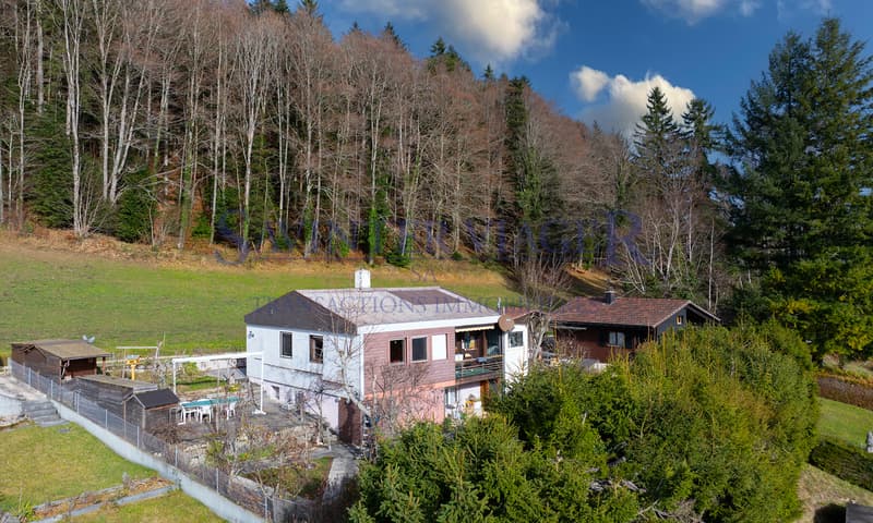 La maison "Les mésanges" en viager occupé (4)