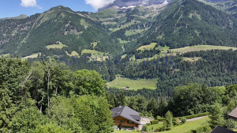 Champéry, Chalet d'Exception de 450 m2 habitables - Viager occupé (4)