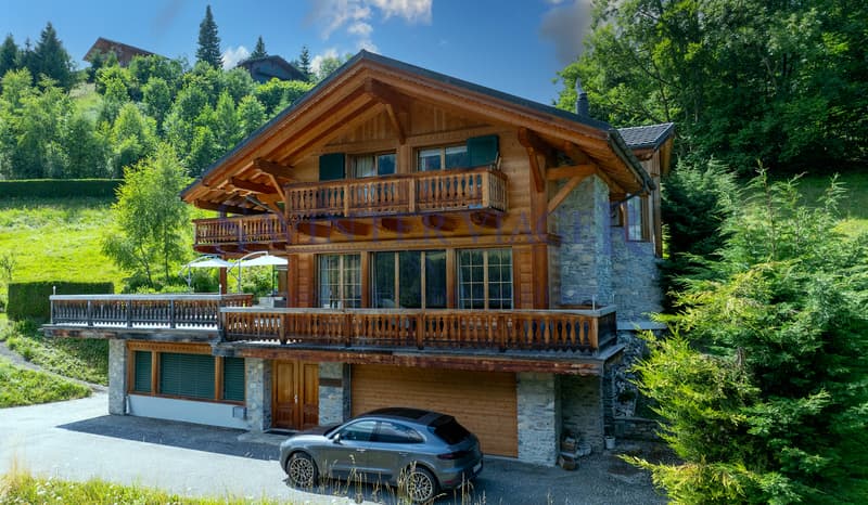 Champéry, Chalet d'Exception de 450 m2 habitables - Viager occupé (6)