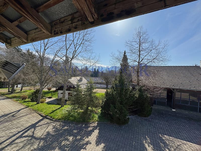 Vue sur la cour et la manége / Blick auf den Hof und die Reithalle / View of the courtyard and manege