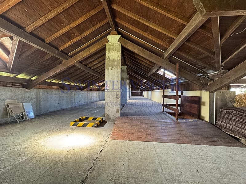 Grange à foin / Heuscheune / Hay barn