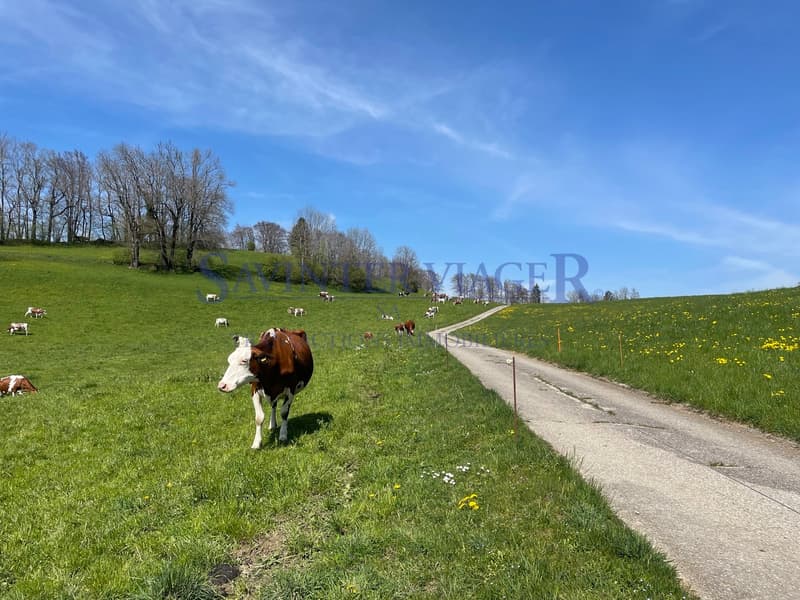 VIAGER. Châtel-St-Denis, Appartement au calme, jardin PPE 2034m2 (6)
