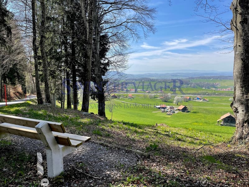 VIAGER. Châtel-St-Denis, Appartement au calme, jardin PPE 2034m2 (4)