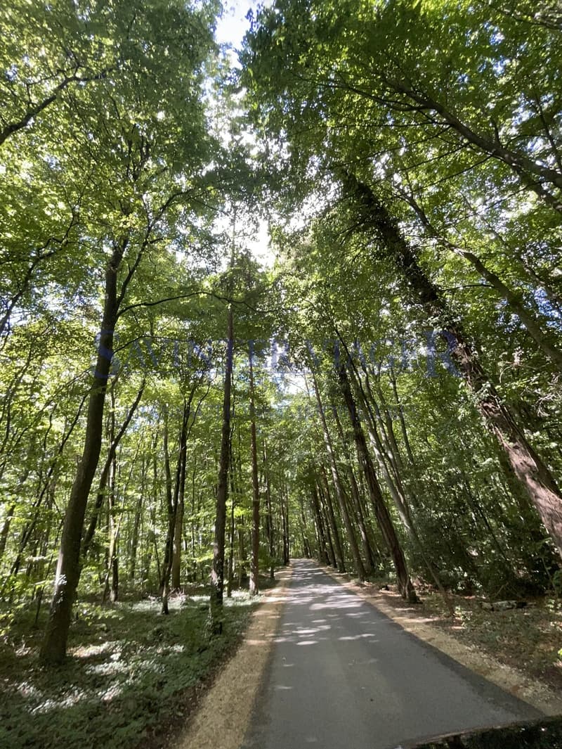 Chemin d'accès