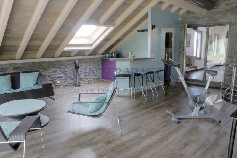 Maison 890 m² habitables, 12+ pièces, terrain 4'300 m² - Transformable en 3 appartements - Montricher (VD) (10)