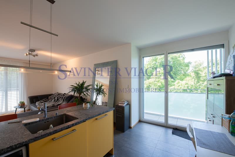 Carouge - Élégant 3 pièces avec vaste balcon et vue dégagée (7)