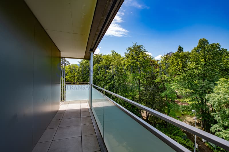 Carouge - Élégant 3 pièces avec vaste balcon et vue dégagée (13)