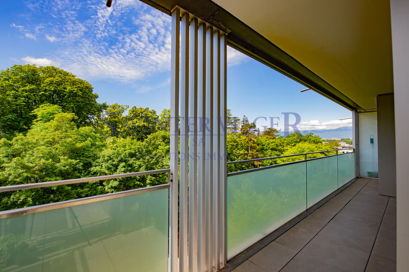 Carouge - Élégant 3 pièces avec vaste balcon et vue dégagée (12)
