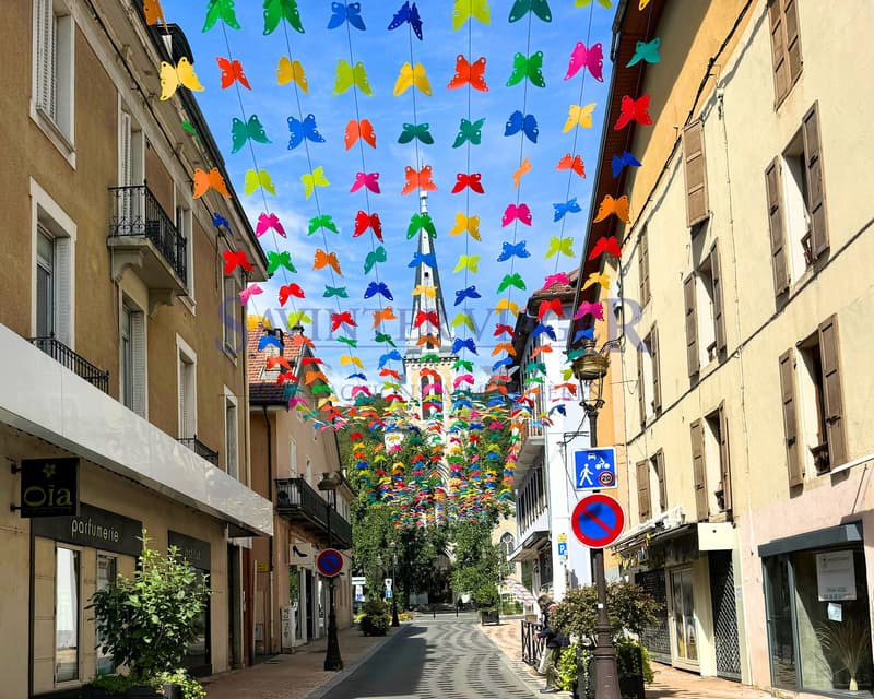 Albertville-centre. T4 traversant, 2 balcons. Viager (1)