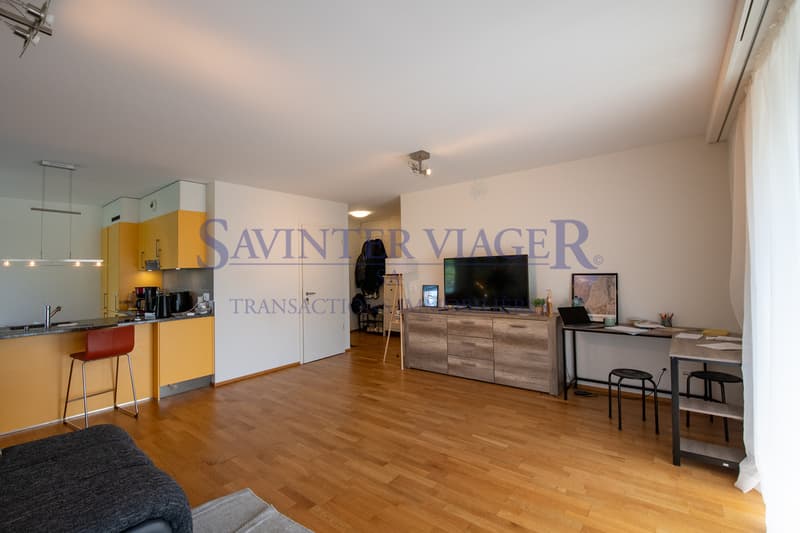 Carouge - Élégant 3 pièces avec vaste balcon et vue dégagée (4)