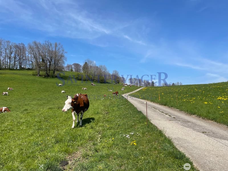 VIAGER. Châtel-St-Denis, Appartement au calme, jardin PPE 2034m2 (6)