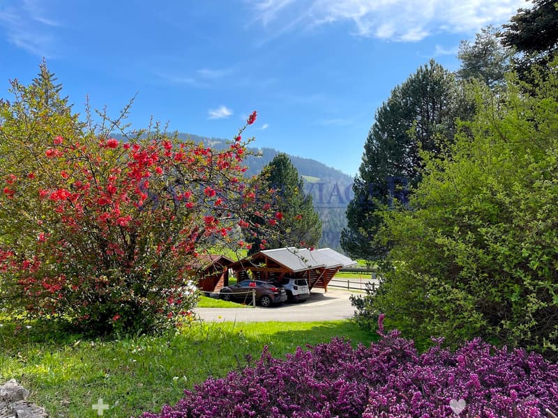 VIAGER. Châtel-St-Denis, Appartement au calme, jardin PPE 2034m2 (5)