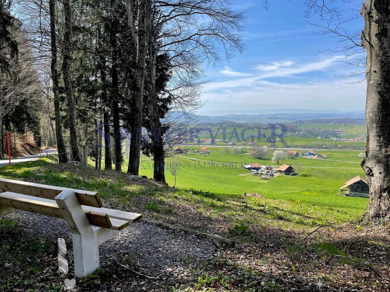 VIAGER. Châtel-St-Denis, Appartement au calme, jardin PPE 2034m2 (4)