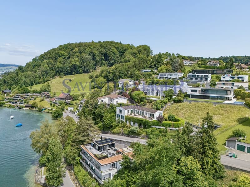 Bien d'exception/vue lac. Kastanienbaum-Suisse. Viager. (4)