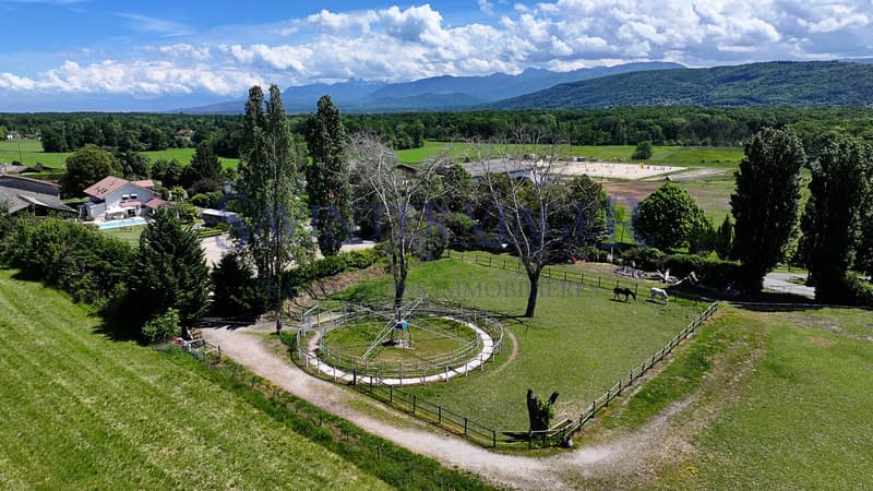 Marcheur électrique