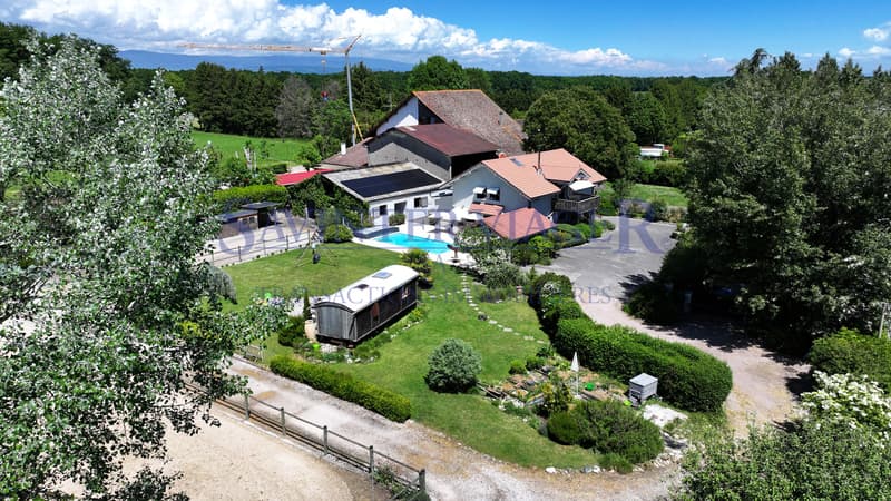 Domaine equestre