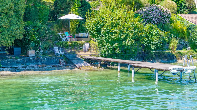 Une signature architecturale face au Léman - Vente en Viager (1)