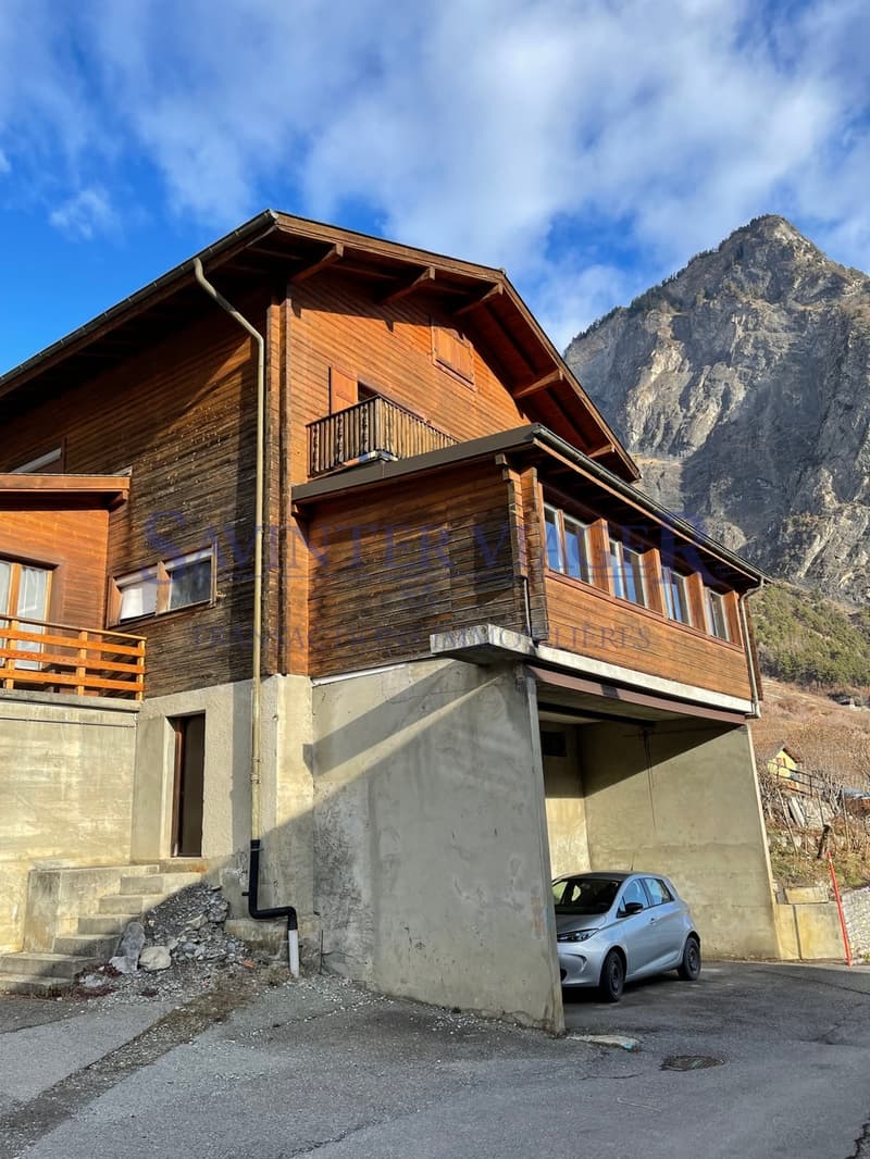 Chalet dominant la vallée en viager (7)