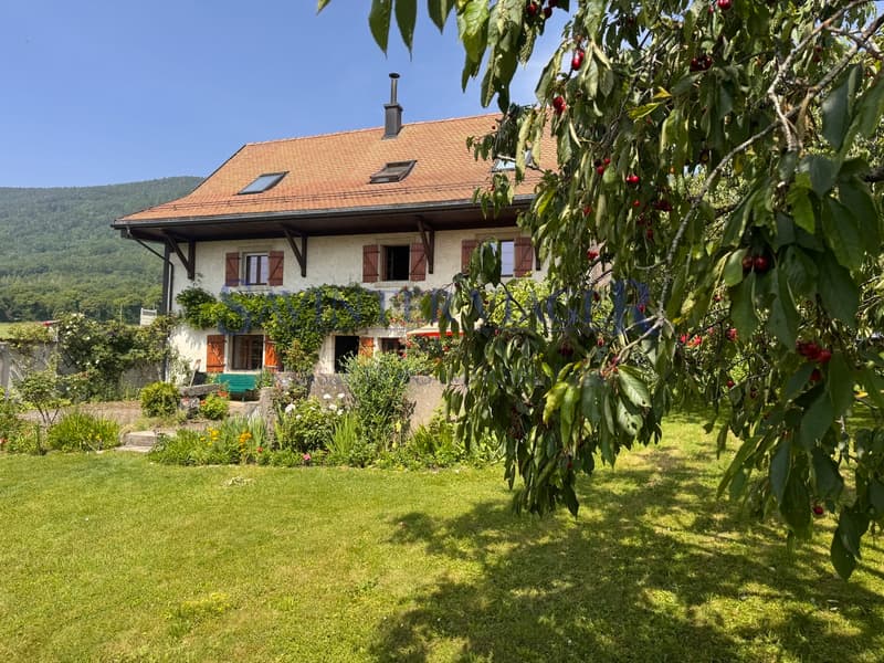 Jardin de 1'329 m2 / Garten von 1'329 m2 / Garden 1'329 m2 / ??? ???????? 1 329 ?2