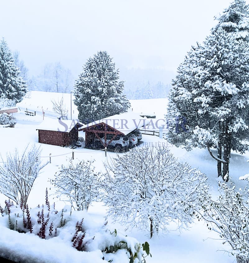La première neige 24.11.2025