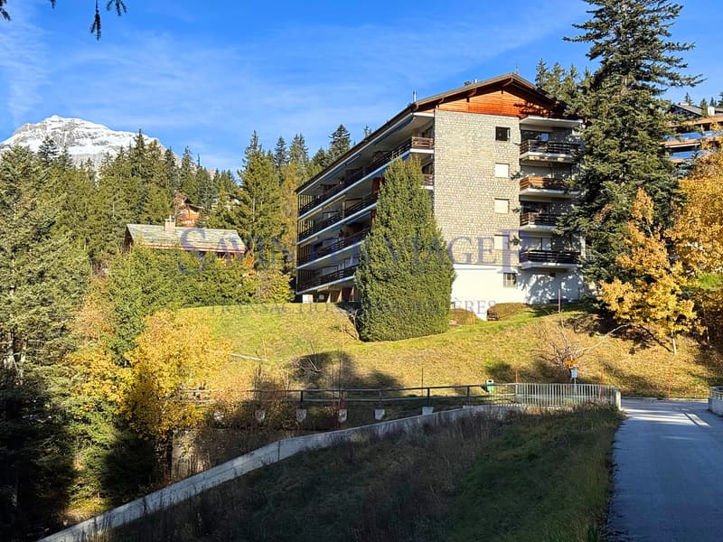 Magnifique vue. Crans-Montana. Viager Occupé. (1)