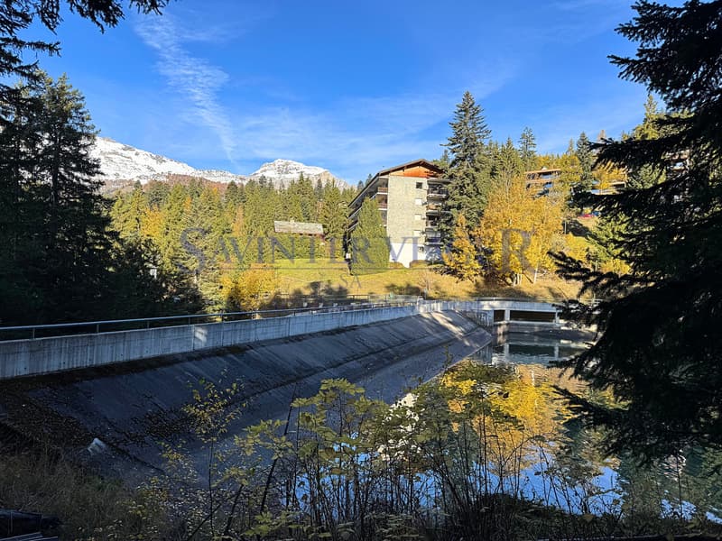 Magnifique vue. Crans-Montana. Viager Occupé. (9)