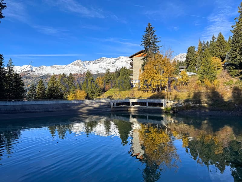Magnifique vue. Crans-Montana. Viager Occupé. (4)