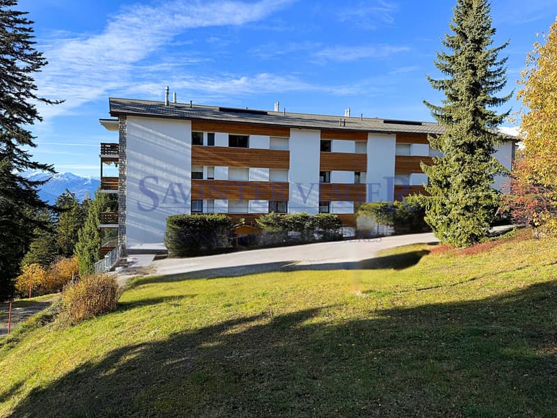 Magnifique vue. Crans-Montana. Viager Occupé. (6)