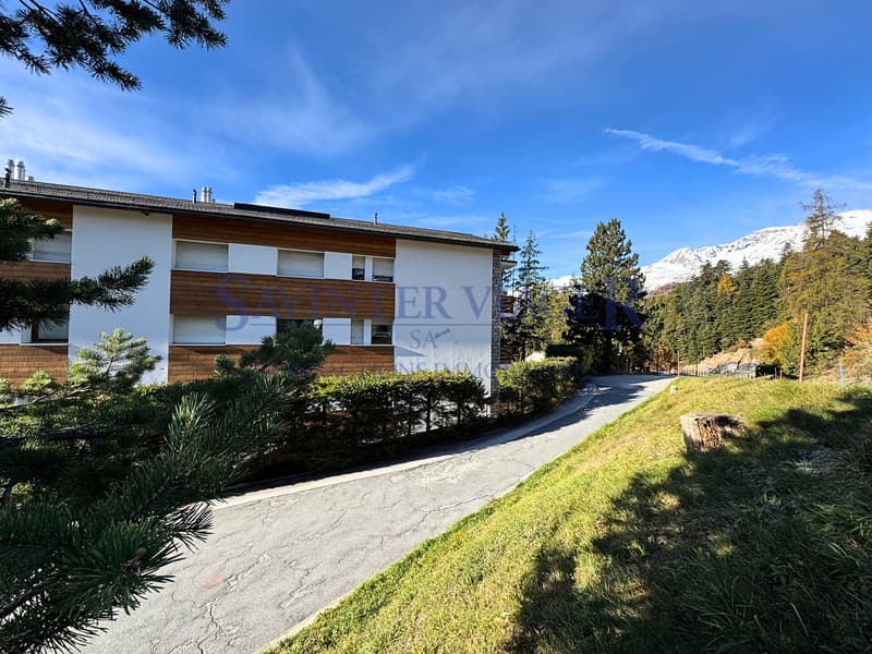 Magnifique vue. Crans-Montana. Viager Occupé. (5)