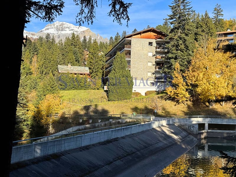 Magnifique vue. Crans-Montana. Viager Occupé. (3)