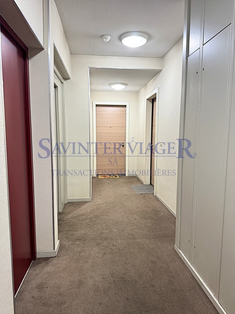 Appartement à Annemasse-centre. Terrasse de 18m2 (5)