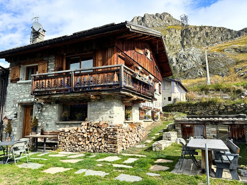 Propriété à 15 minutes des pistes, vue panoramique. Vente à Terme. (12)