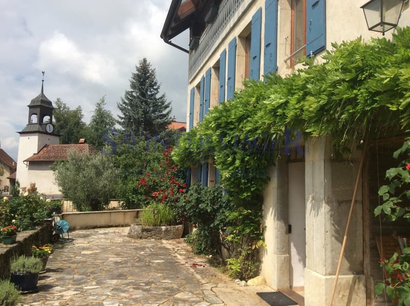 Fontaines-sur-Grandson, Magnifique maison de Village - Vente à terme (11)