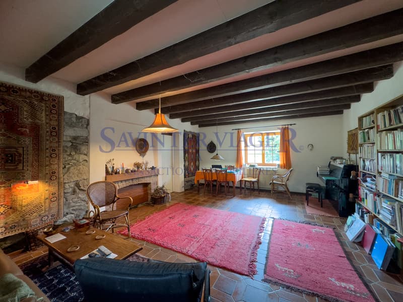 Salon avec une cheminée  / Wohnzimmer mit Kamin / Living room with fireplace / ???????? ? ???????