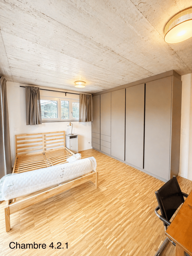 Nuova condivisione di lusso - Camere arredate con balcone e terrazze, a 2 passi dalla stazione di Châtel-St-Denis (13)
