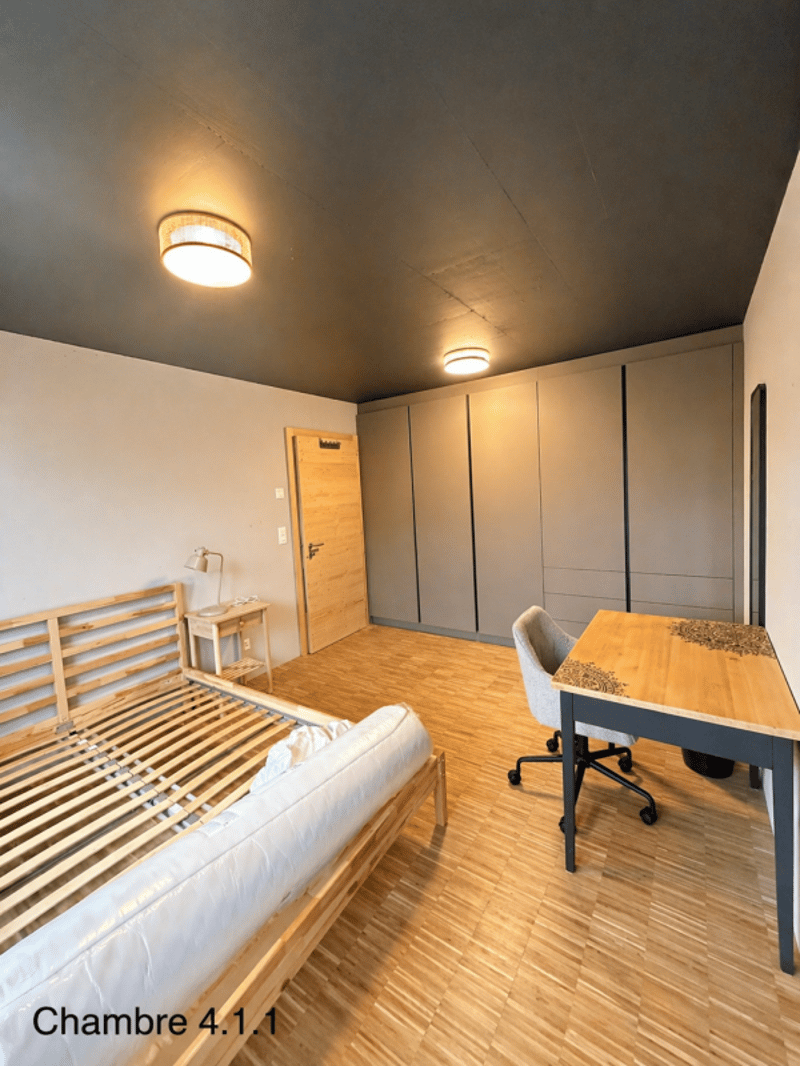 Nuova condivisione di lusso - Camere arredate con balcone e terrazze, a 2 passi dalla stazione di Châtel-St-Denis (8)
