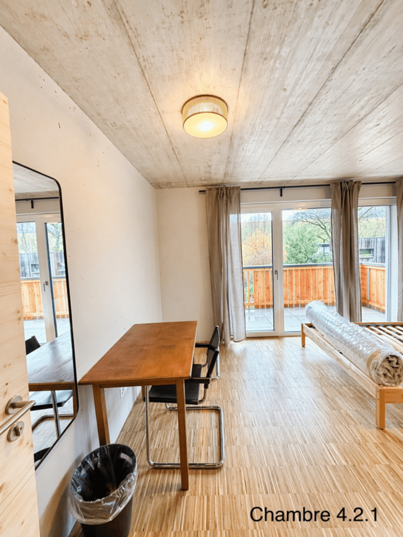 Nuova condivisione di lusso - Camere arredate con balcone e terrazze, a 2 passi dalla stazione di Châtel-St-Denis (12)