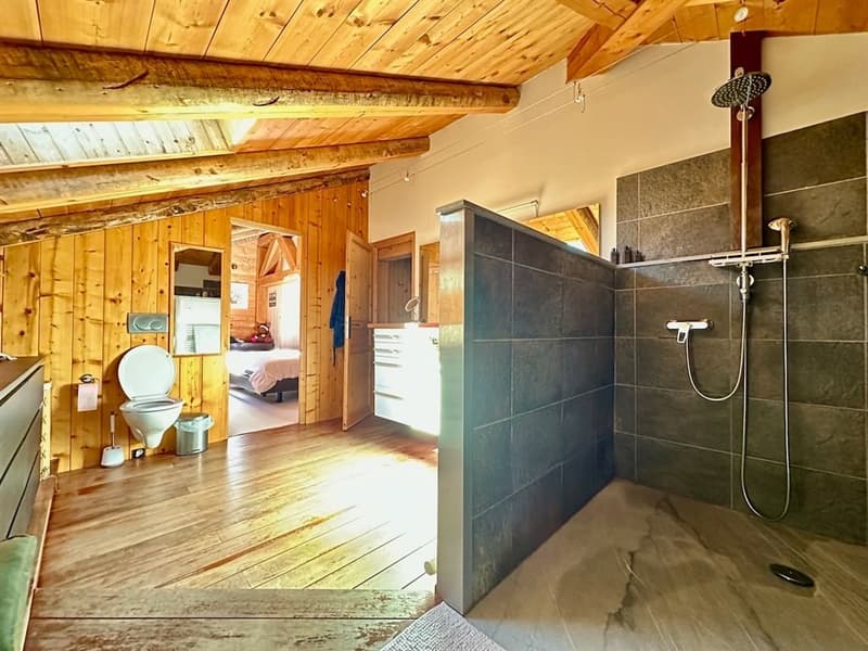 Sehr schönes renoviertes 18. Jahrhundert Bauernhaus mit freier Sicht (13)
