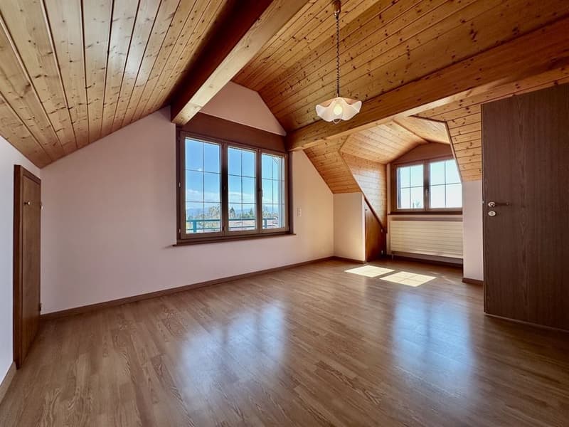 Spacious, bright individual villa with independent apartment (10)