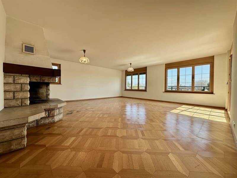 Spacious, bright individual villa with independent apartment (8)