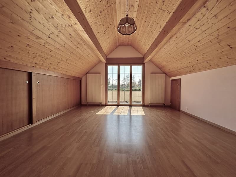 Spacious, bright individual villa with independent apartment (11)